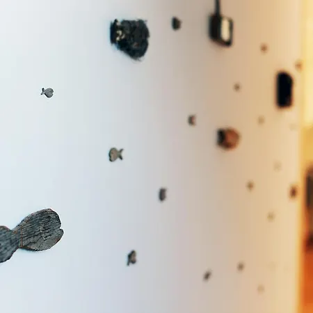 Riba Apartma